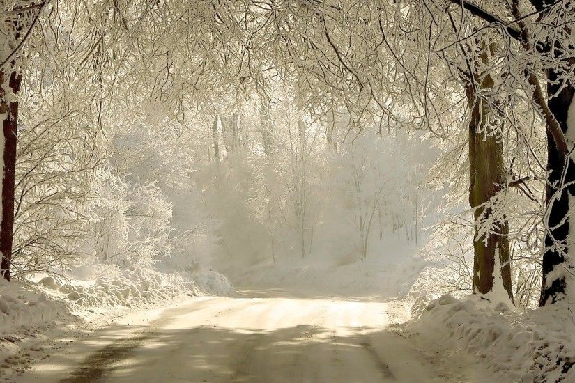 1920x1080 Wallpaper road, snow, trees, hoarfrost, gray hair, landscape, snow