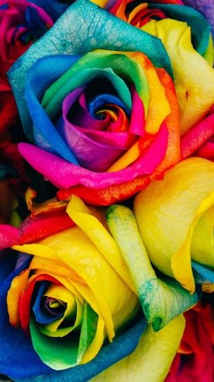 4K HD Wallpaper: Rainbow of Roses