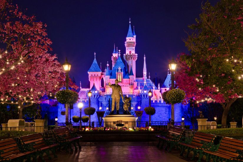 Disneyland Christmas Castle