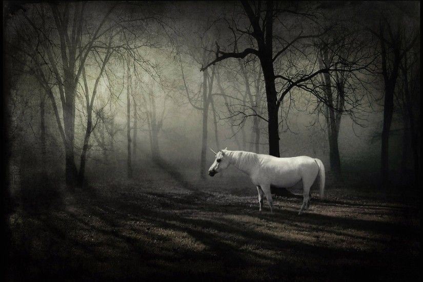 Wallpaper white unicorn in a forest