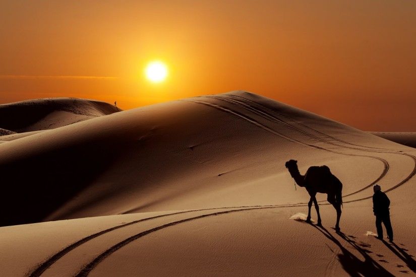 Sun People Desert Camel