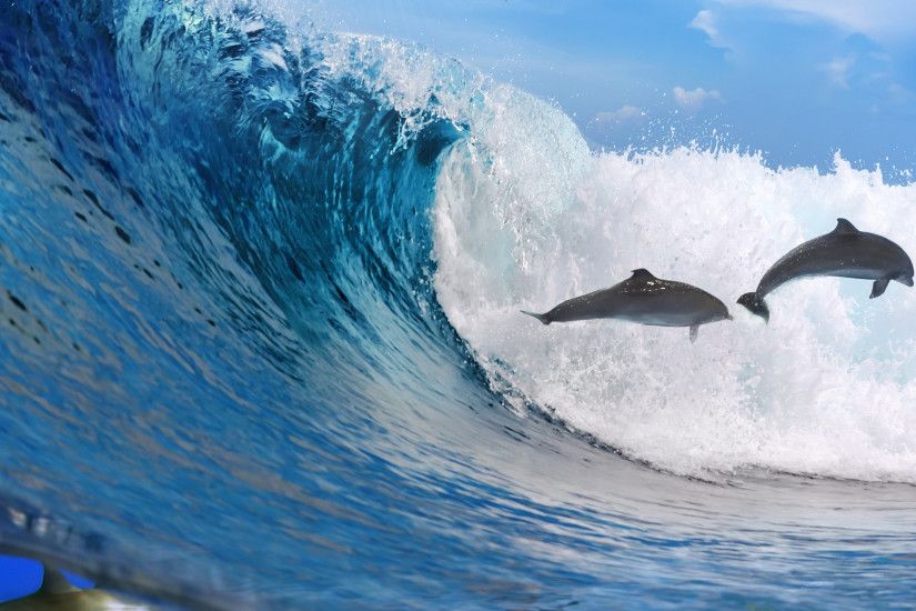 3840x2160 Wallpaper dolphins, ocean, wave, freedom