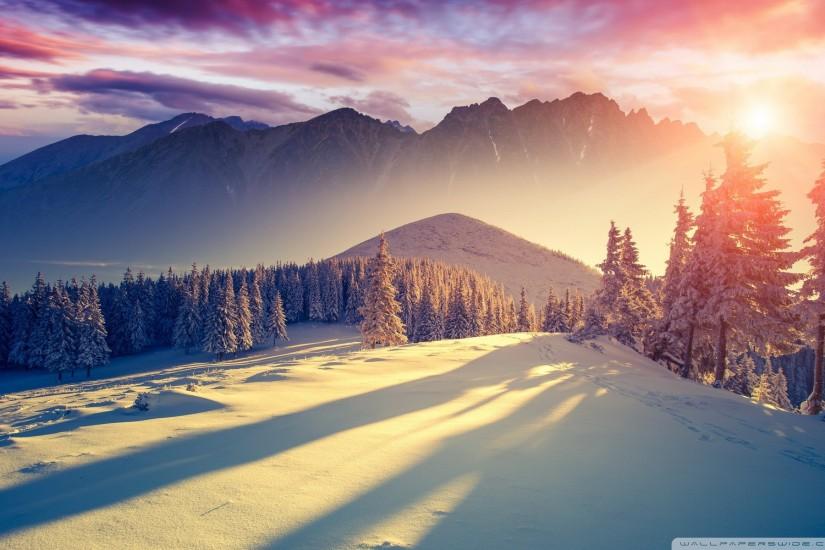 widescreen winter wallpapers 1920x1200 picture