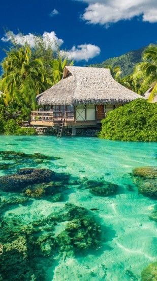 Tropical HD wallpaper for iPhone