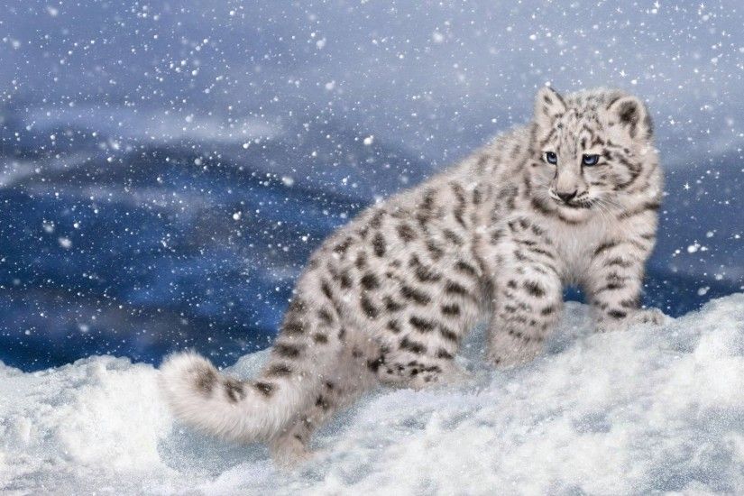 snow leopard snow leopard winter snow rendering