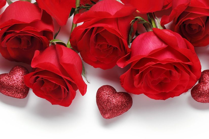Wallpaper Valentine's Day Heart Red Roses Flowers White background 2560x1080