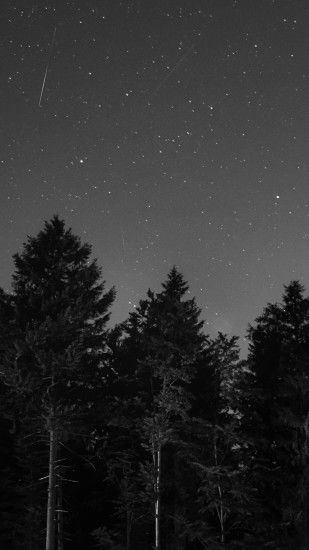 1080x1920 Wallpaper starry sky, night, bw