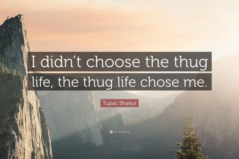 Tupac Shakur Quote: “I didn't choose the thug life, the thug