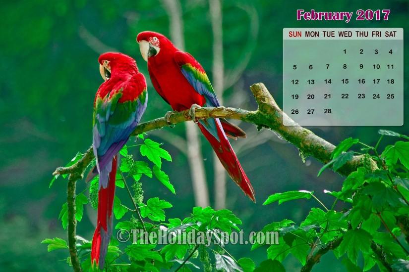 February 2017 Calendar Wallpaper of colorful birds