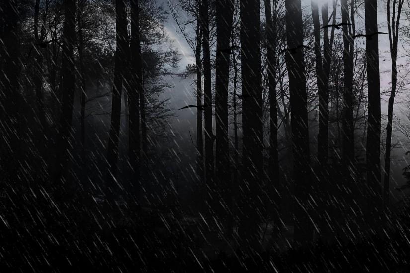 Wallpapers Dark Evil Rain Showers Forest Trees 1920x1080PX .