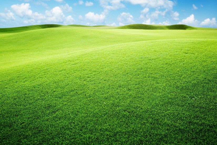Green Grassland Wallpapers | Pictures