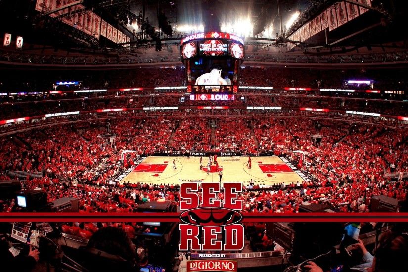 Chicago Bulls Awesome Photo – Chicago Bulls Wallpapers, 2048x1536 for PC &  Mac, Tablet