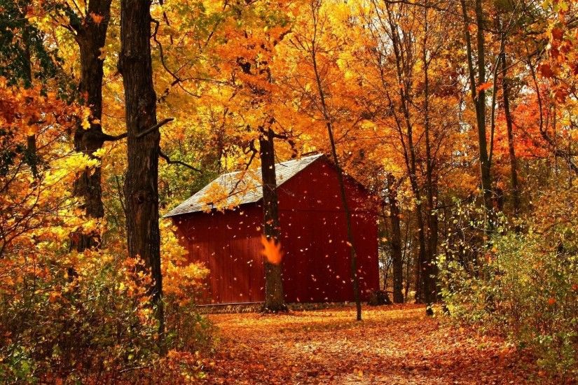 Autumn Breeze Wallpaper