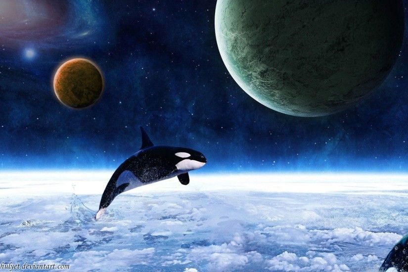 Killer Whales Wallpapers - Wallpaper Cave