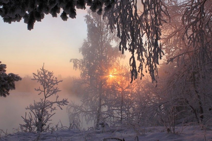 Beautiful Foggy Winter Peaceful Wonderful Magnificent Dry Trees Frosty  Amazing Lights Fog Xmas Calm Travels Sunrise