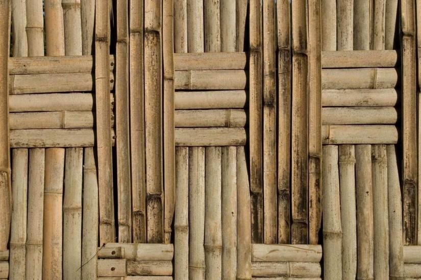 gorgerous bamboo background 1920x1080 hd for mobile