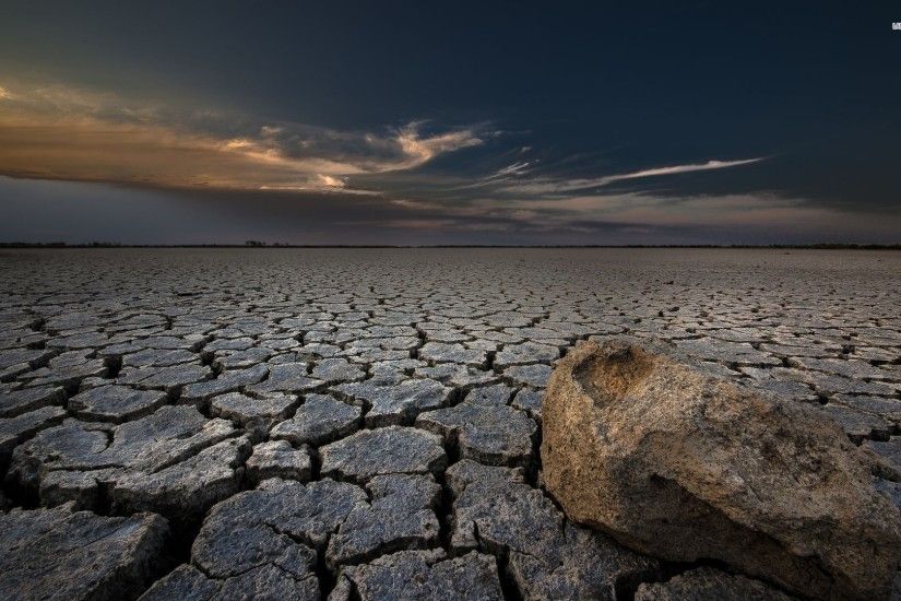 Cracked Soil In The Desert