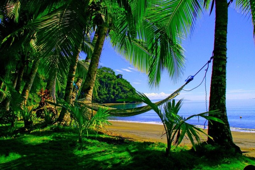 Man Made - Hammock Nature Ocean Palm Tree Tree Green Tropical Beach  Wallpaper