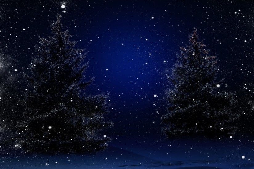 nature trees winter snow merry christmas new year christmas tree magic christmas  night nature tree winter