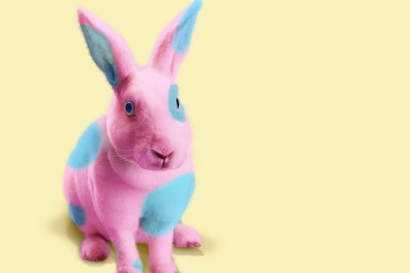 Bunny painted in pink and blue wallpaper 1920x1080 jpg