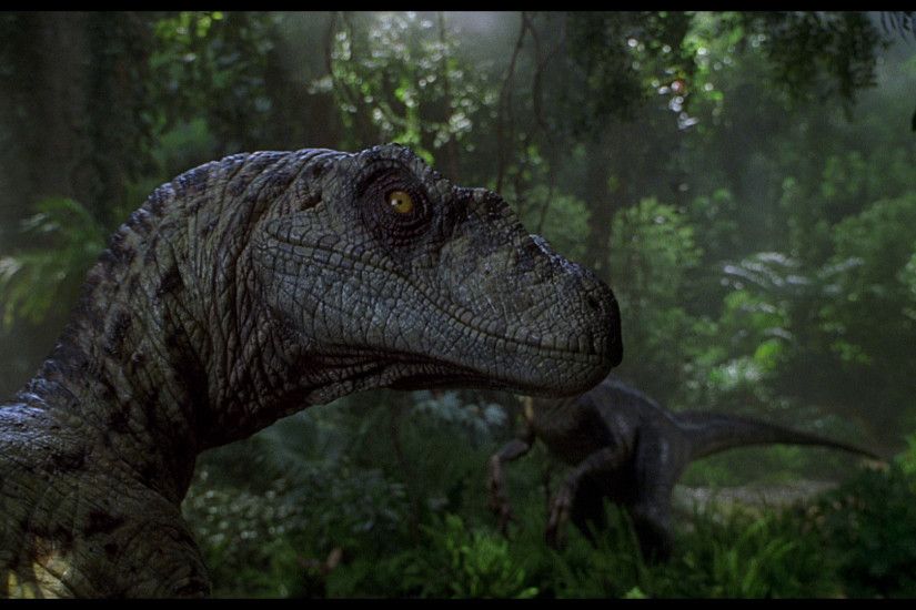 Movie - Jurassic Park III Velociraptor Wallpaper