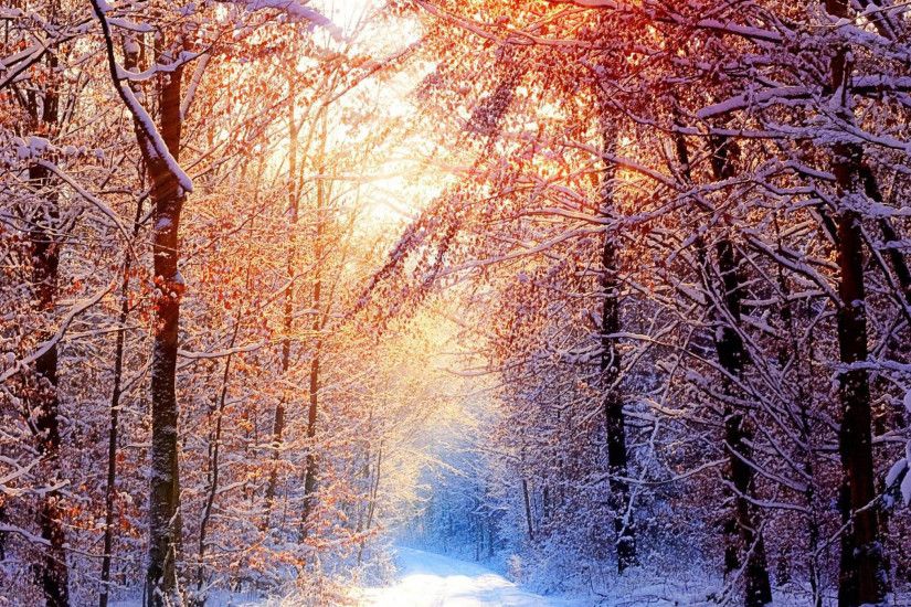 Best iPad wallpaper Winter Season 2048x2048 Winter-Deep-Silence