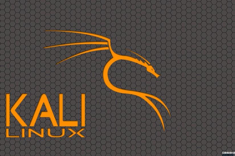 Kali Linux BackTrack - The Rebirth v1.3 (Orange) by ZeroxProject .