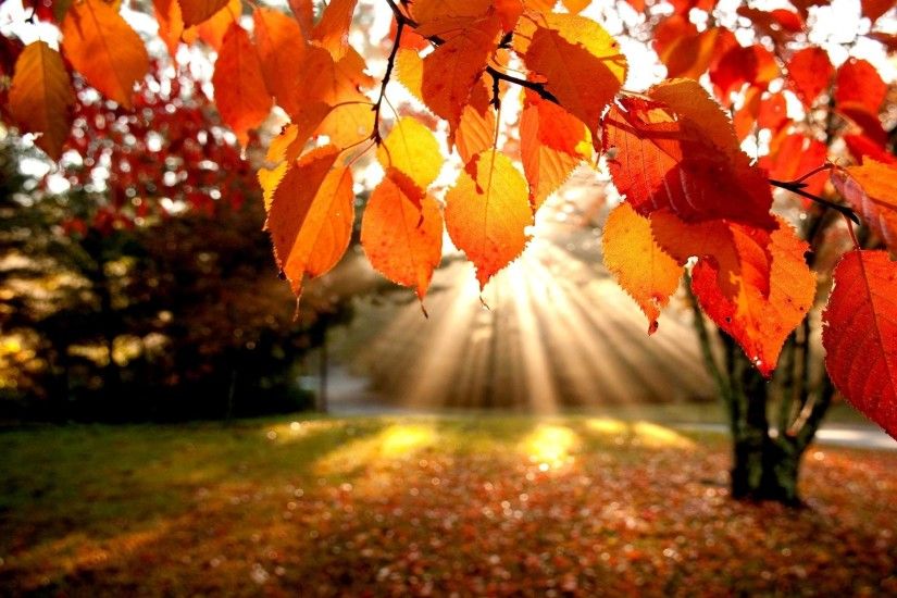Page 1388 | Awesome fall wallpaper findorgetcom , Backgrounds .
