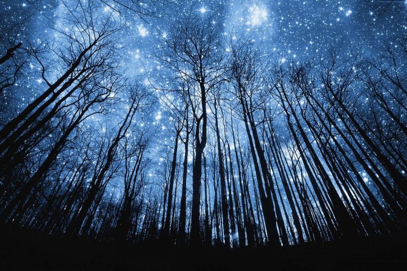 beautiful starry night wallpaper 2560x1600
