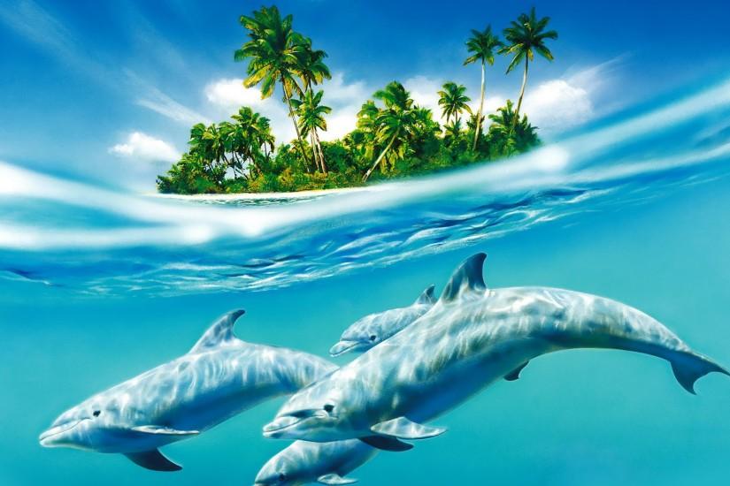 dolphin fantasy image full HD wallpaper