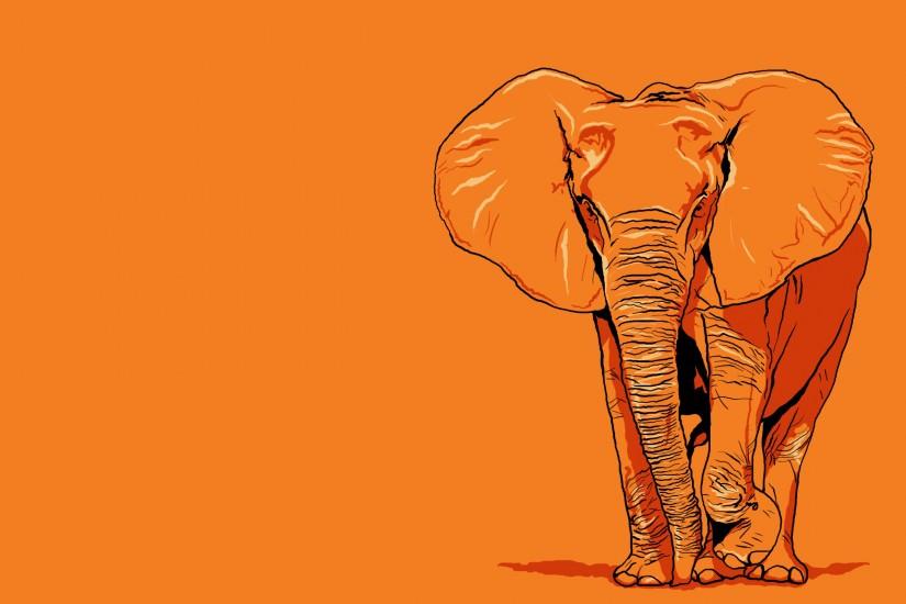 cool elephant wallpaper 2560x1600