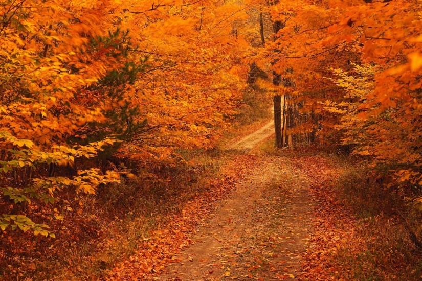 Beautiful Hd Autumn Image; Awesome Autumn Wallpaper