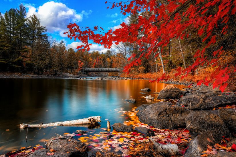 nature seosons autumn landscape red leaves wallpaper Wallpaper