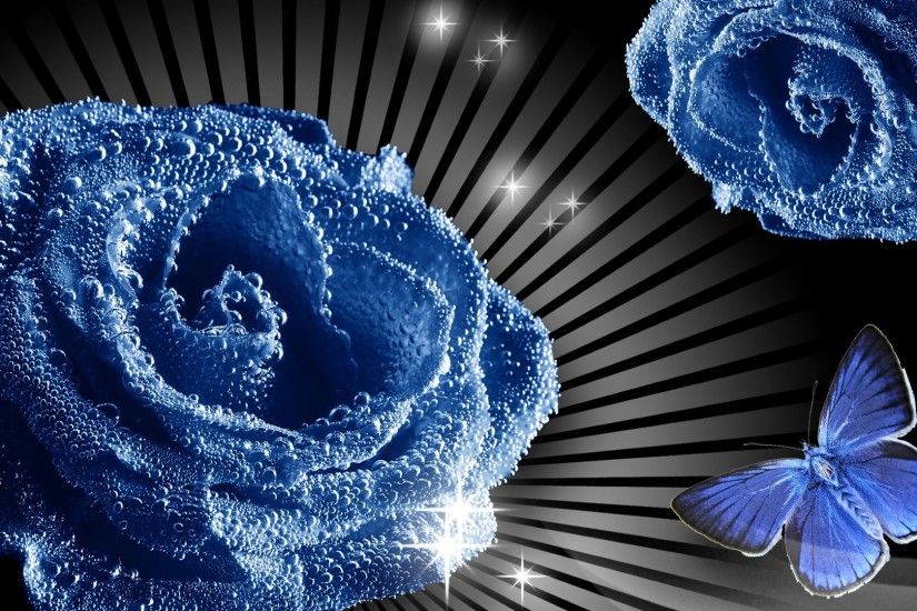 net_Holidays___International_Womens_Day_Blue_rose_and_butterfly__picture_on_March_8_056174_.jpg  (1920Ã1080) | BLUE ROSES BACKGROUND | Pinterest | Blu…