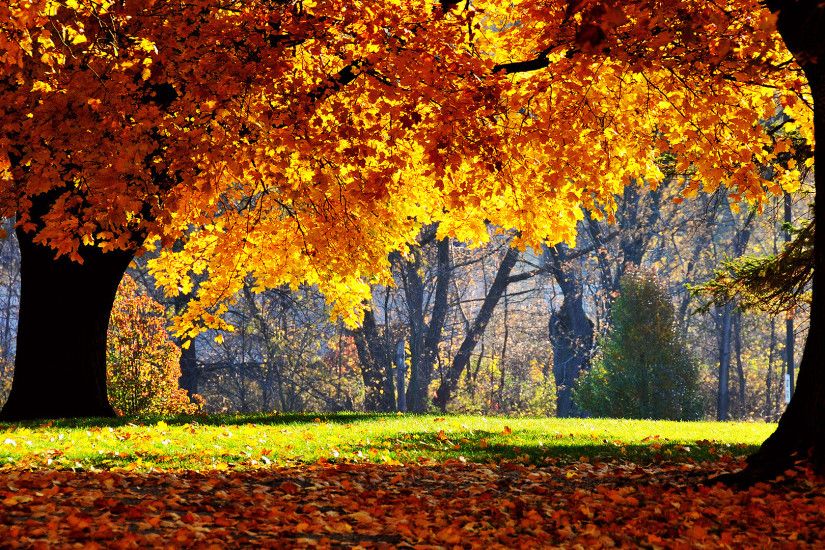 Wonderful Autumn HD Wallpapers