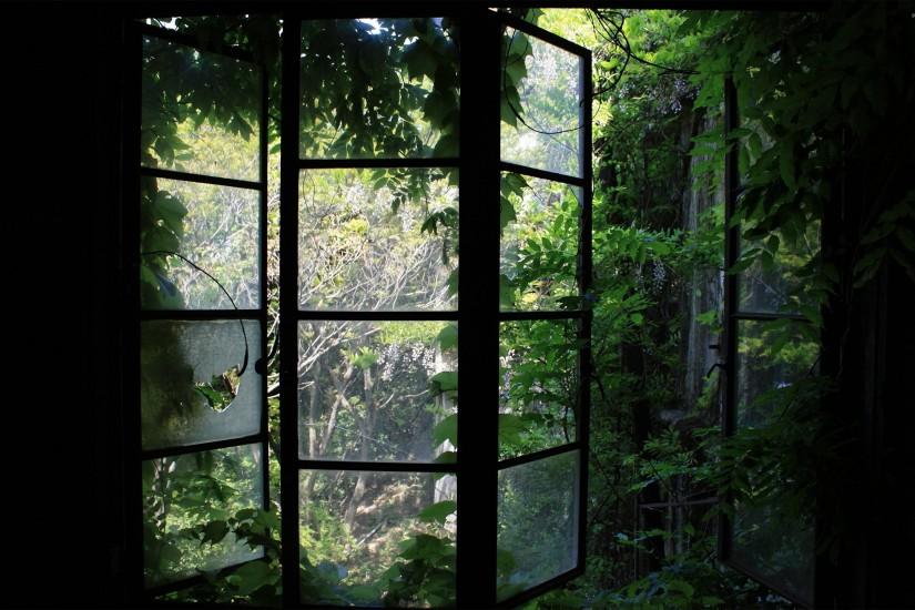 Greenhouse window wallpaper 2880x1800 jpg
