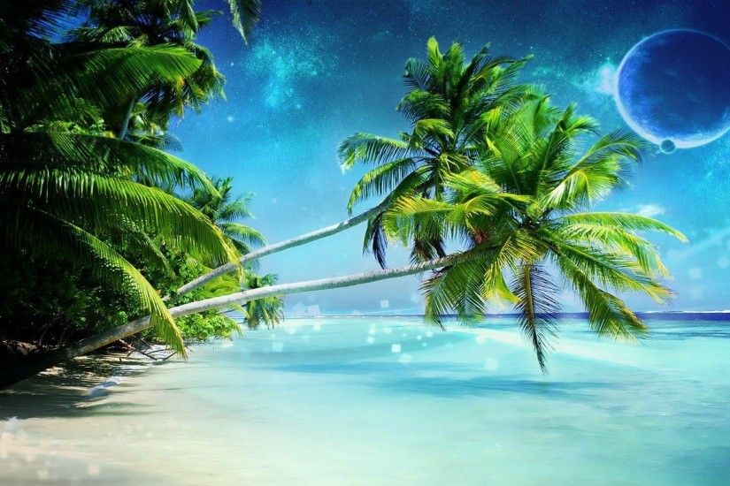 Palm Tree Beach Wallpaper