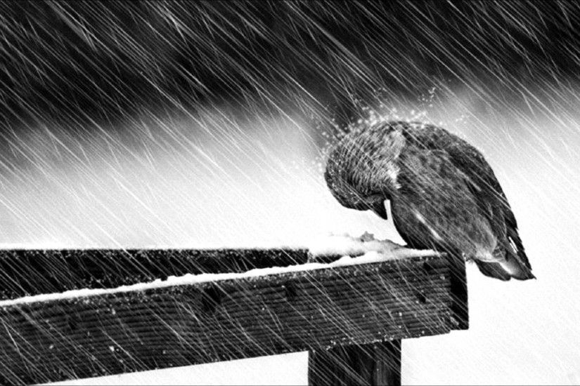 depression sad mood sorrow dark people love winter rain wallpaper
