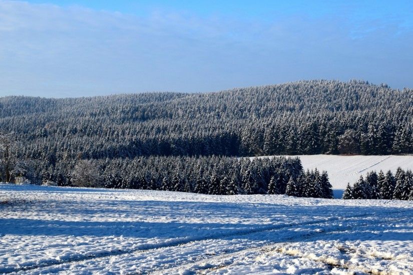 Download now full hd wallpaper forest snow fir-tree finland ...