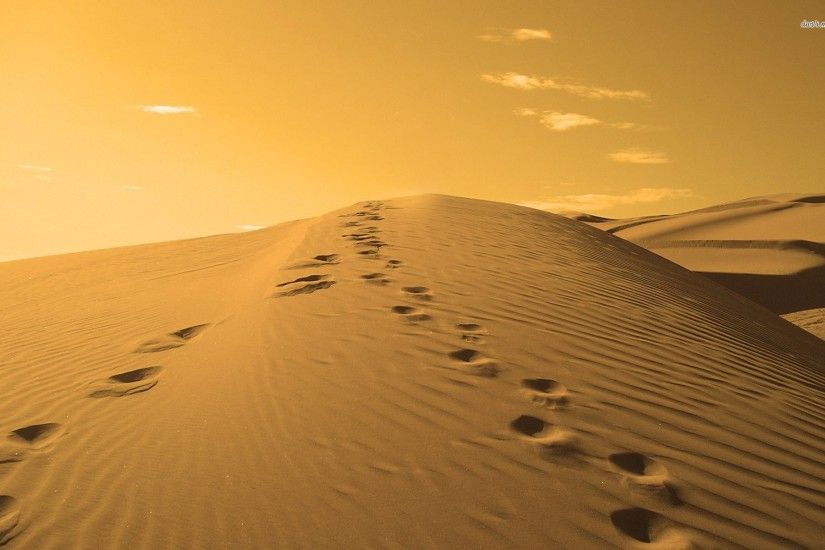 Footprints On A Sand Dune 682755