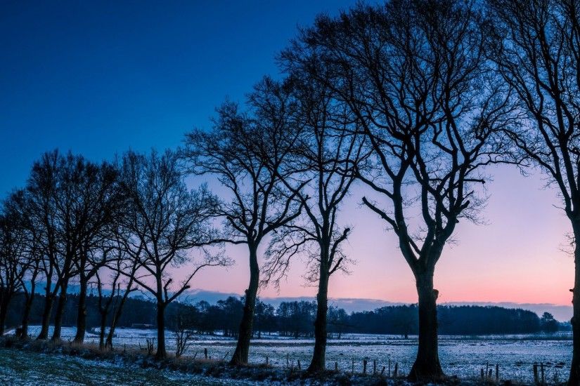 Winter Tag - Field Winter Morning Trees Frost Norway Free Hd Wallpaper  Wallpapers Nature 1920Ã
