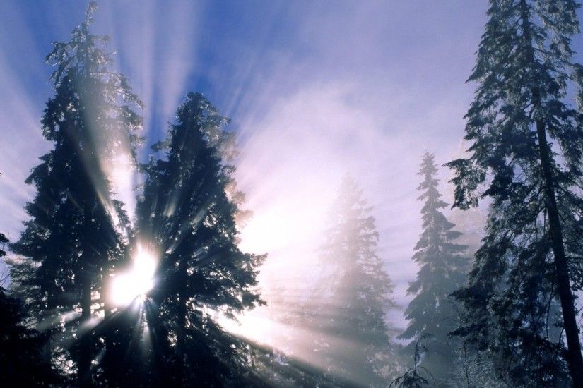 1920x1080 Wallpaper winter, sun, light, beams, trees, lighting, morning