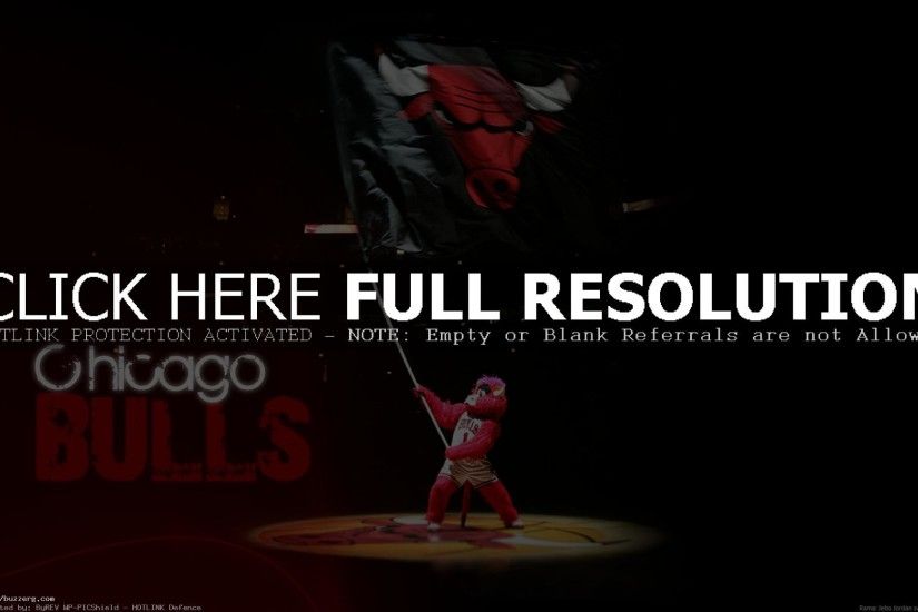 Chicago Bulls (id: 20589)