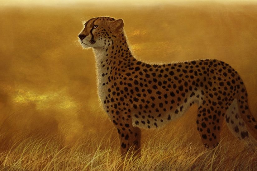 Animal - Cheetah Wallpaper