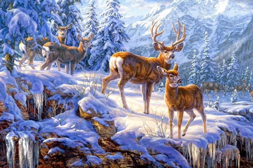 deer wallpaper 1920x1200 for hd