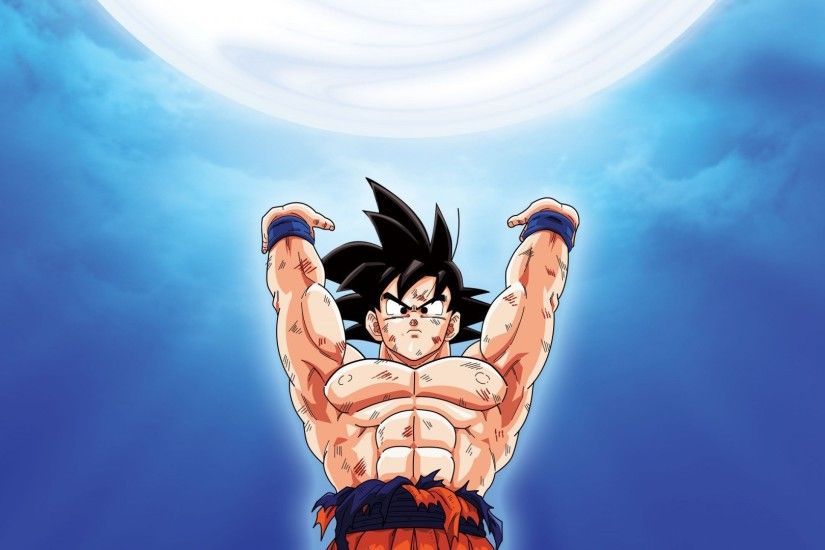 Dragon Ball Z Son Goku HD Wallpaper