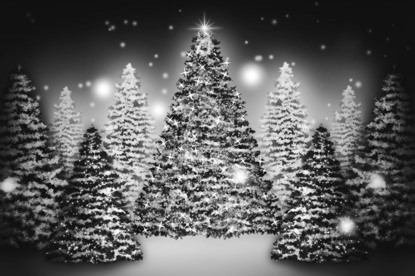 ... Christmas trees HD Wallpaper 2880x1800