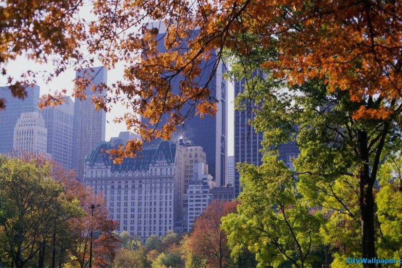 Autumn New York Central Park 477311