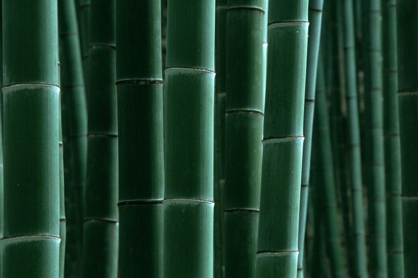 Preview wallpaper bamboo, green, strips 1920x1200