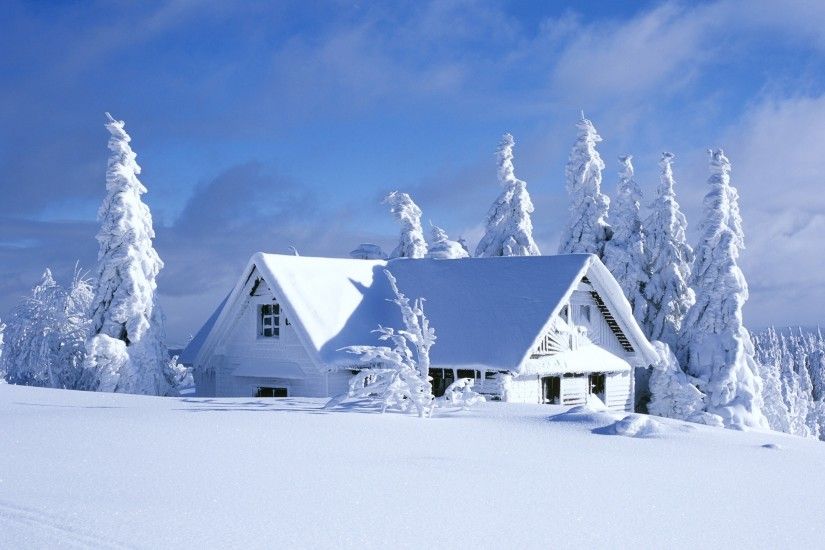 snow wallpaper home